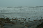 Jeep buried in sand and seaweed (click to enlarge)