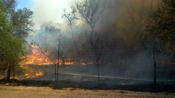 SMAC Ranch fire enveloping mixed fuels of grass, brush, and trees, June 18th 2011 (click to enlarge)