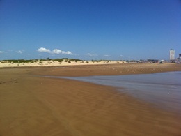 Photo showing extent of tidal run up at early morning high tide, September 3 2011 (click to enlarge)