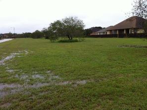 Photo of high standing water in fields of neighborhood in North Brownsville, December 31