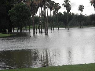 Resaca flooding in River Bend Community, west Brownsville, May 24, 2015