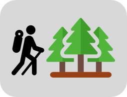 Recreation Activity Planner