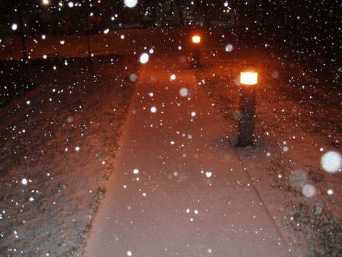 Corpus Christi - NWS Sidewalk