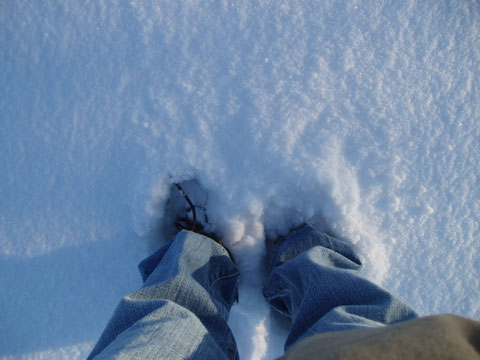 Corpus Christi - 4 Inches Deep