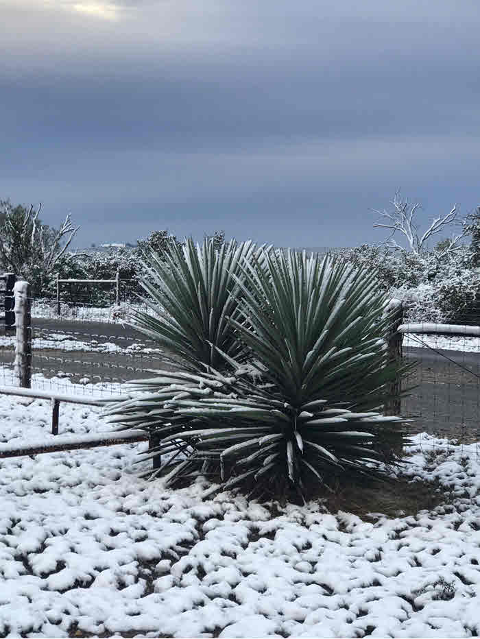 Tilden: Snow Accumulation Photo