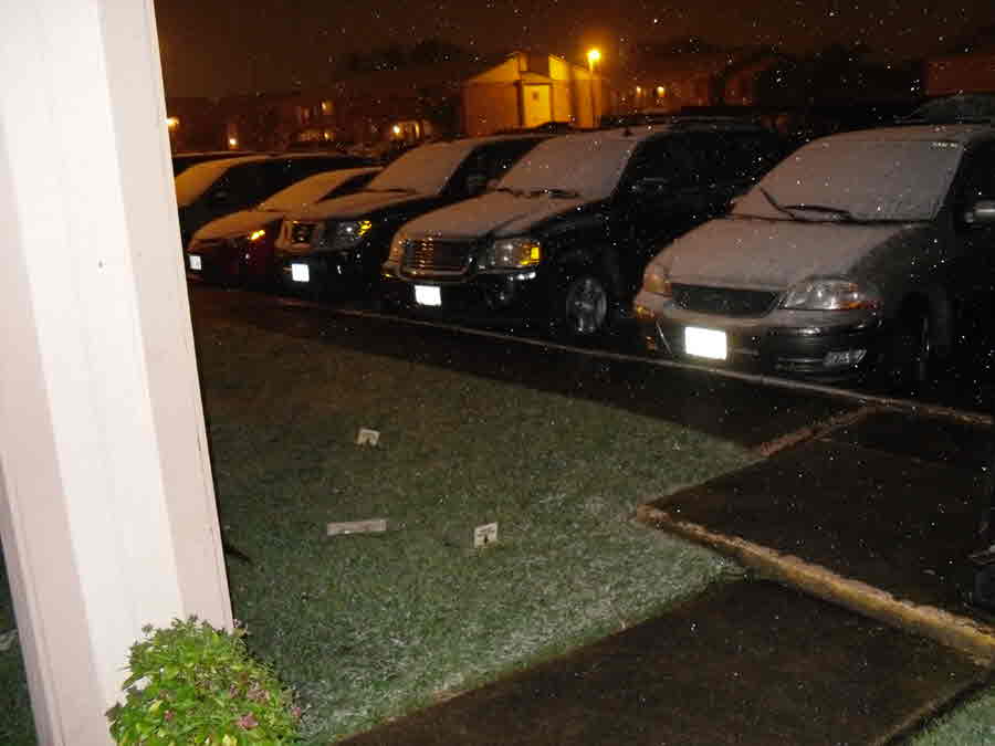 Victoria: Accumulating Snow - Photo Credit: Terrry Turner