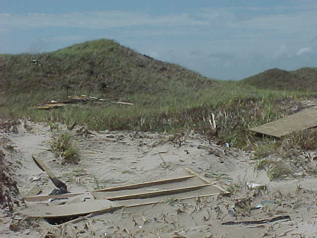 Land Photos of Coast after Bret