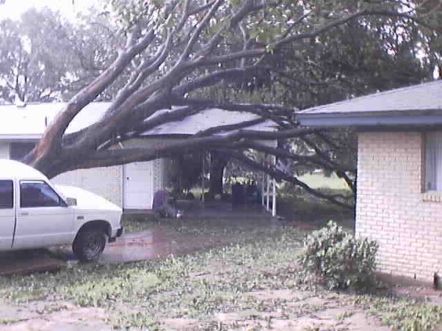 Photo from Goliad County