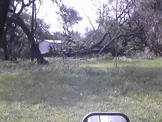 Photo from Goliad County