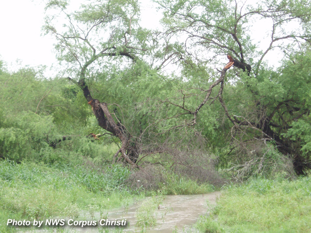 Several trees were damaged along a 1/2 mile path