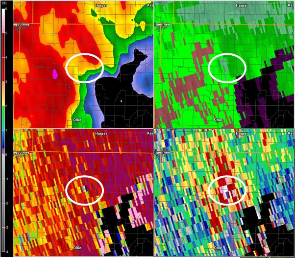 dual pol image