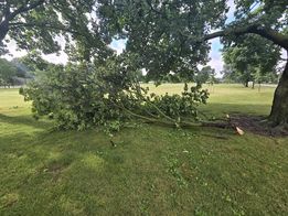 Large tree branch down at Meier Park in Bettendorf, IA