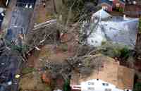 [ Large trees fallen on homes in Cabbage Town area. ]