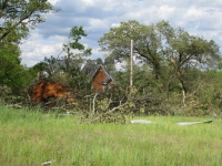 [ Tree down on Hemphill Road. ]