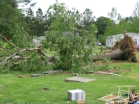 [ Tree down on highway 337. ]