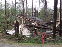 [ Debris and Downed Trees for Tornado. ]