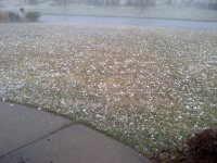 [ Golf Ball Sized Hail in Senoia. ]