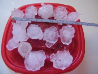 [ Golf Ball Sized Hail in Sumter County. ]