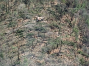 [ Tornado Damage in Gilmer County. ]