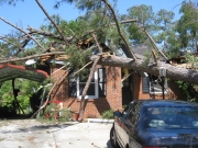 [ Tree and House Damage from EF-1 Tornado in Macon. ]