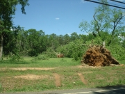 [ Tornado Damage from Newton county. ]