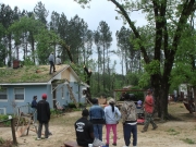 [ Tornado Damage from Warren county. ]