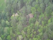 [ Trees on a home in the Poplar Stump road area of northwest White county ]