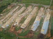 [ Tornado Damage from Polk county. ]