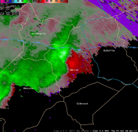 [ Storm Relative Velocity of Warren Tornado. ]