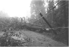 storm damage