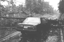 storm damage