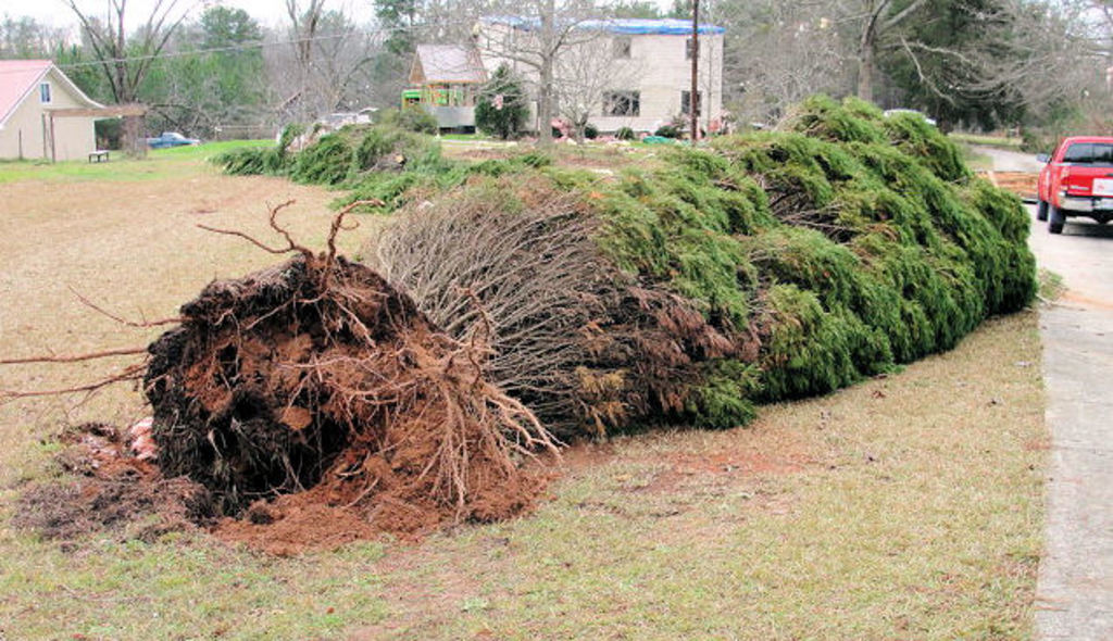 [ Tornado Damage from Coweta Co. ]