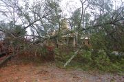 [ Tornado Damage from Gilmer county. ]