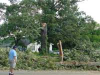 [ trees down in yard ]