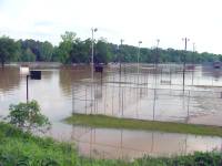 [ The Chattahoochee in Heard County ]