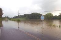 [ Water spills onto road in Whitfield County ]