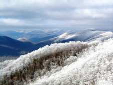 [ Wintry scene in White County, GA ]