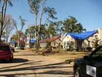 [ each blue tarp marks where large trees fell on residences ]