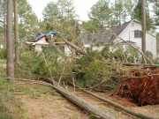 [ Trees down on house on Lake Haven Parkway. ]