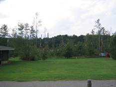 [ Trees damaged in tornado swath at Ft. Yargo State Park in Barrow County. ]