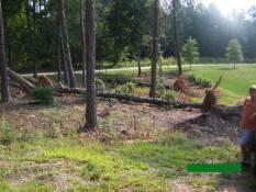 [ trees down in Lumpkin County ]