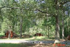 [ trees uprooted in Oconee County ]