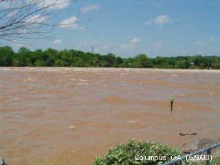 Chattahoochee River out of it's banks