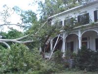 [ Downed tree damages home ]