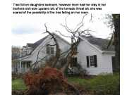 [ Tree fell through roof of this house. ]