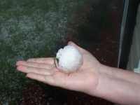 [ Hand holding large hailstone. ]