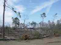 [ trees down near home ]