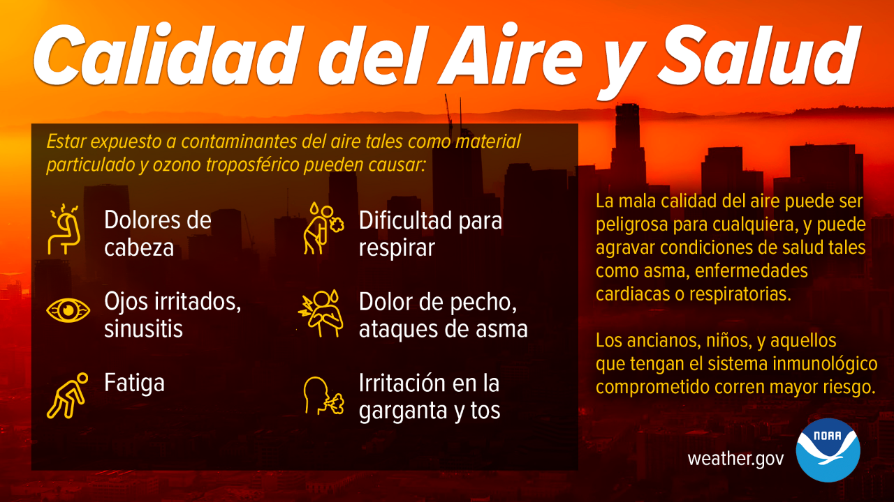 Calidad del Aire y Salud