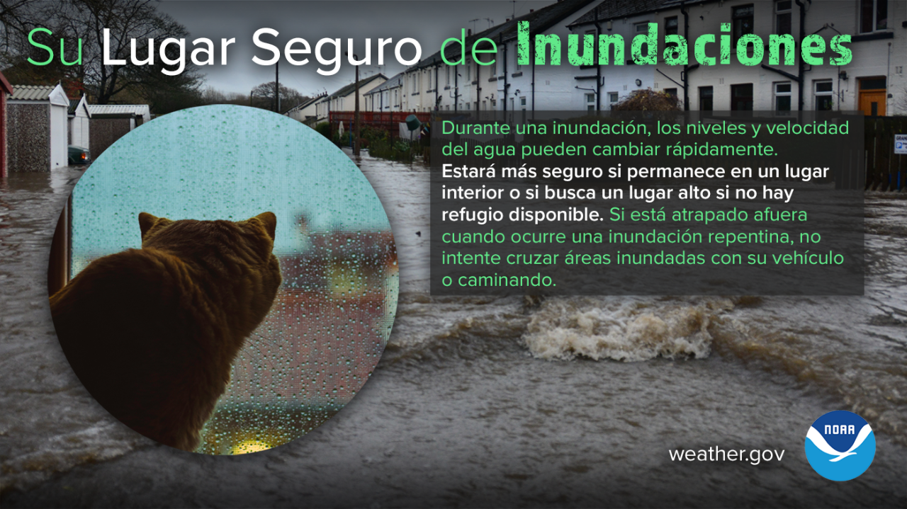 Su Lugar Seguro de Inundaciones