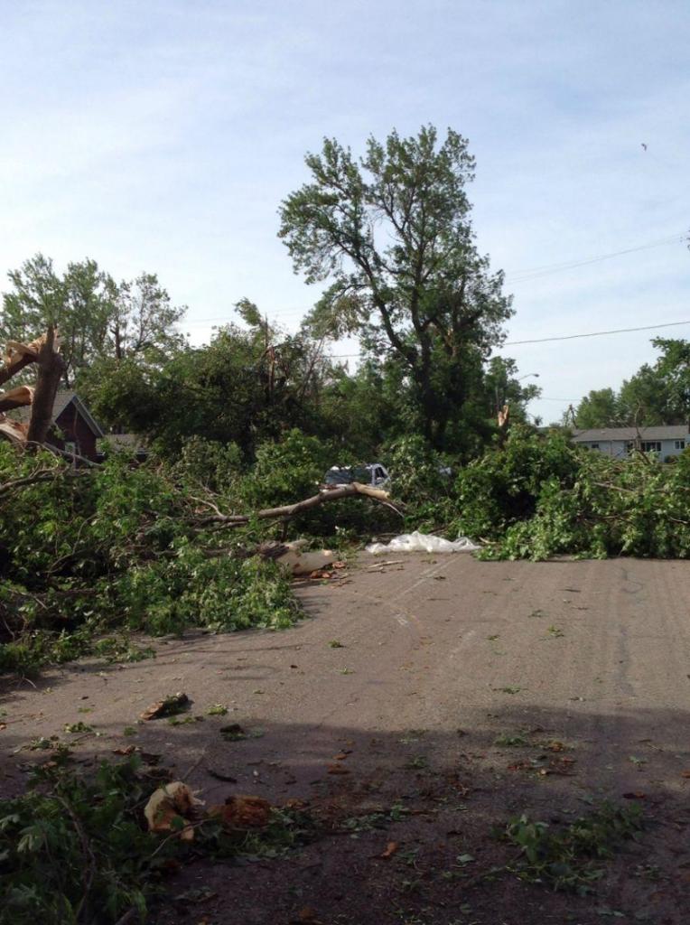 Picture of down trees in Garretson, South Dakota